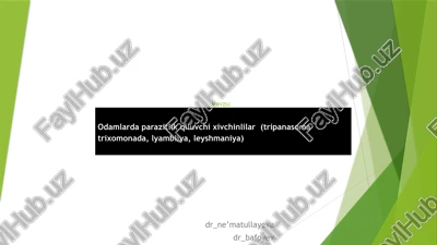 leishmania — PPTX