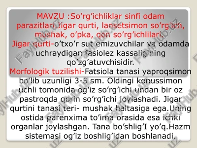 so’rg’ichliklar sinfiodamparazitlari — PPTX
