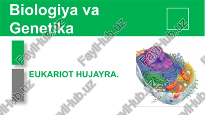 eukariot hujayra — PPTX