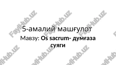 ossacrum-dumg'aza suyagi — PPTX