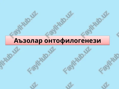 a'zolar ontogenezi — PPTX