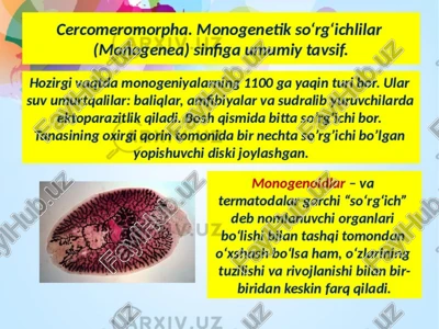 so‘rg‘ichlilarning bargsimon tanasi — PDF