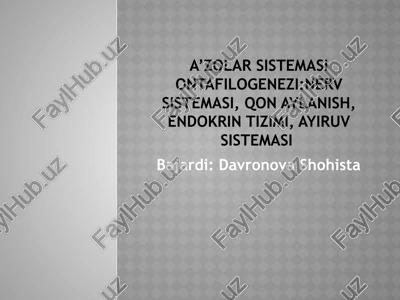 nervsistemasi — PPTX