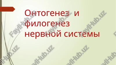 ontogenez i filogenez nervnoy sistemi — PPTX