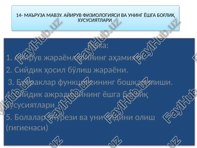 ma'ruza mavzu. ayiruv fiziologiyasi va uning yoshga bog'liq xususiyatlari — PPTX