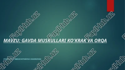 gavda muskullari ko'krak vaorqa — PPTX
