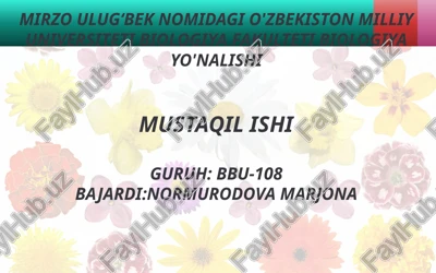 gullari turlicha shakl va rangli gulqo‘rg‘onlar — PPTX