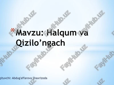 halqum va qizilo’ngach — PPTX