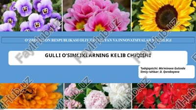 flora. des iranischen hochlandes und der umranmenden gebirge — PPTX