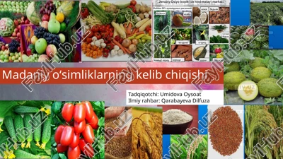 madaniy oʻsimliklarning kelib chiqishi — PPTX