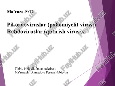 ma’ruza №11.pikornoviruslar (poliomiyelitvirusi) rabdoviruslar (qutirish virusi) — PPTX
