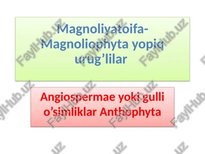 magnoliyatoifa-magnoliophytayopiqurug’lilar — PPTX