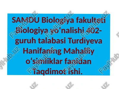to‘qayzoro‘simliklari va ularning ichki tuzilishi — PPTX