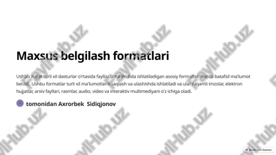 maxsus belgilash formatlari — PPTX