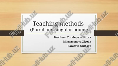 teaching methods(plural and singular nouns) — PPTX