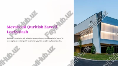 mevalarni quritish zavodi loyihalash — PPTX
