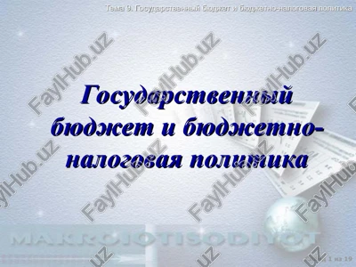 gosudarstvenniy byudjet i byudjetno-nalogovaya politika — PPT