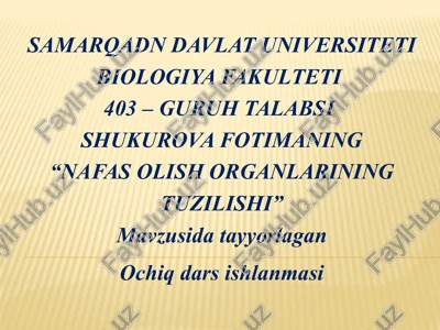 "nafas olish organlarining tuzilishi" — PPTX