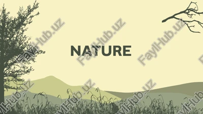 the four elements of nature — PPTX