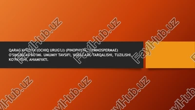 qarag'aytoifa (ochiq urug'li) (pinophyta, gymnospermae) o'simliklar bo'imi — PPTX