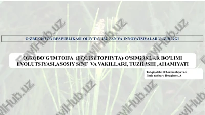 qirqbo'g'imtoifa (equisetophyta) o'simliklar bo'limi evolutsiyasi,asosiy sinf va vakillari, tuzilishi,ahamiyati — PPTX
