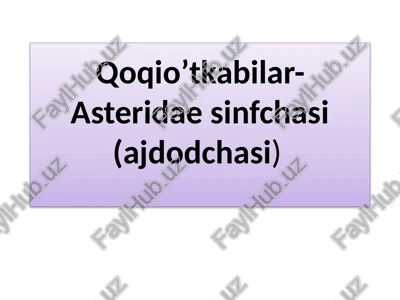 qoqio’tkabilar-asteridaesinfchasi(ajdodchasi) — PPTX