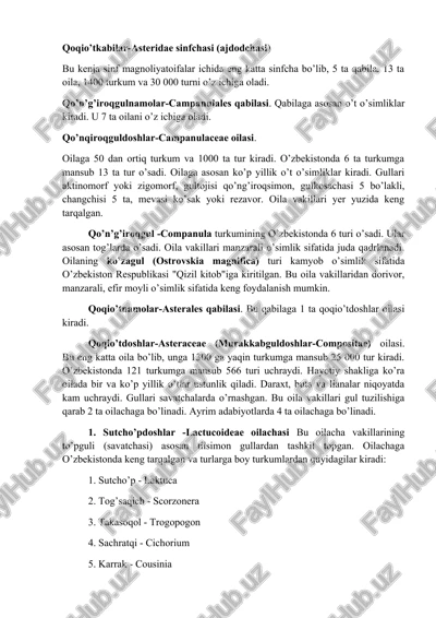 qoqio’tkabilar-asteridae sinfchasi (ajdodchasi) — DOCX