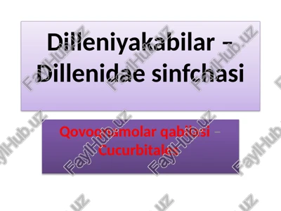 dilleniyakabilar–dillenidaesinfchasi — PPTX