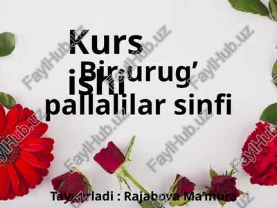 birurug’pallalilarsinfi — PPTX