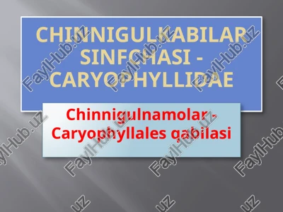 chinnigulkabilar — PPTX