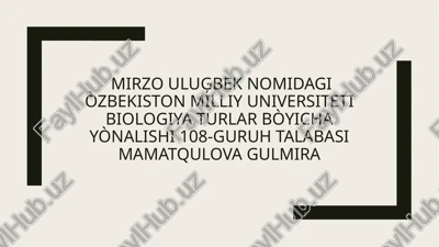 palmanamolar qabilasi oilalari, tavsifi va asosiy turlari — PPTX
