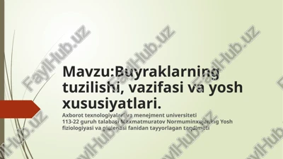 buyraklarning tuzilishi, vazifasi va yosh xususiyatlari — PPTX