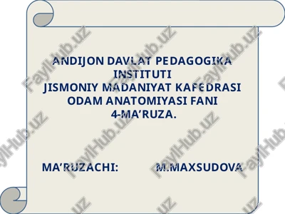odam anatomiya fanidan 4-ma'ruza — PPTX