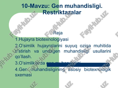 genmuhandisligi.restriktazalar — PPTX