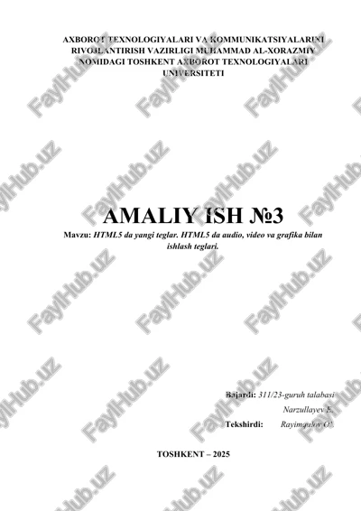 html5 da yangi teglar — DOCX