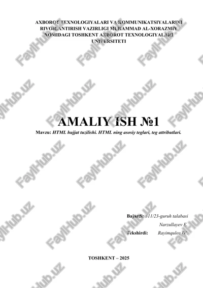 html hujjat tuzilishi — DOCX