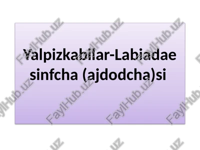yalpizkabilar-labiadaesinfcha(ajdodcha)si — PPTX