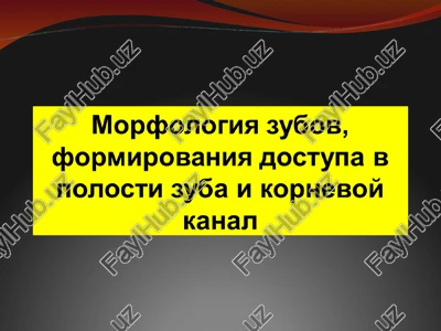 topografiya polosti zuba i kanalov v raznix gruppax zubov — PPT