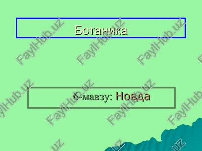 botanika — PPT