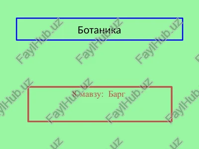 botanika — PPT