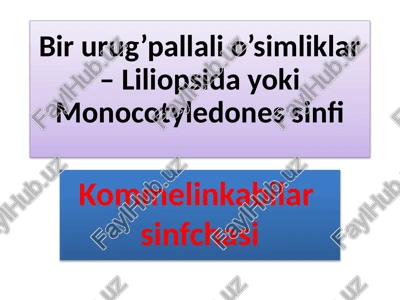 kommelinkabilarsinfchasi — PPTX