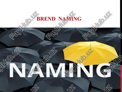 nomtanlashning asosiy qoidalari — PPT