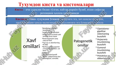 tuxumdon kista va kistomalari — PPTX