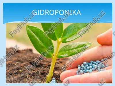 gidroponika — PPT