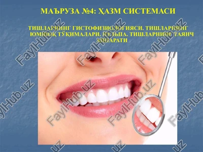 tishlarning gistofiziologiyasi — PPTX