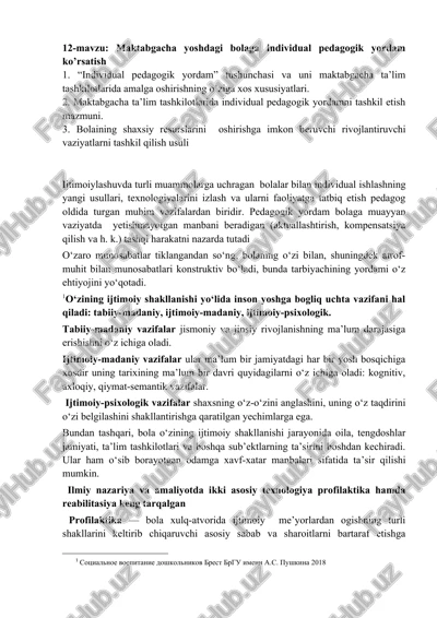 individual pedagogik yordam — DOCX
