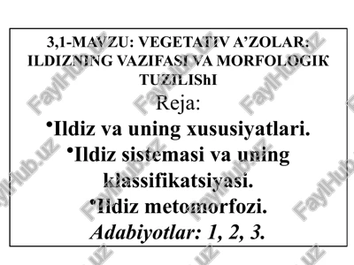 vegetativ a’zolar: ildizning vazifasi va morfologiktuzilishi — PPTX