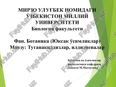 tuganakildizlar va ildizmevalar — PPT