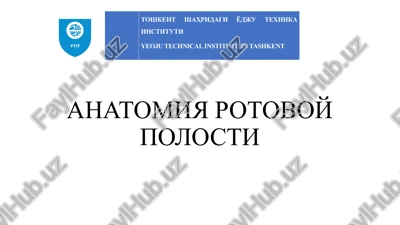 anatomiya rotovoy polosti — PPTX