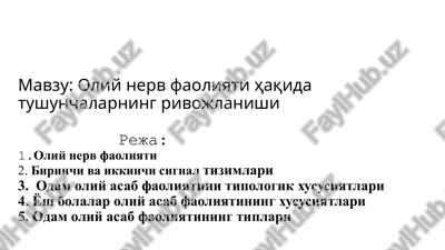 oliy nerv faoliyati — PPTX